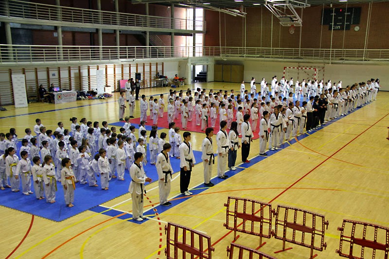 Fiesta Solidaria 2014. Cr&oacute;nica, fotos y videos